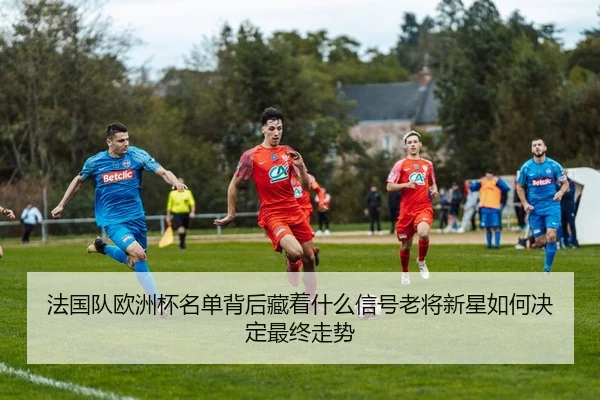 法国队欧洲杯名单背后藏着什么信号老将新星如何决定最终走势